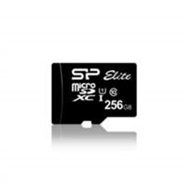SP256GBSTXBU1V10SP