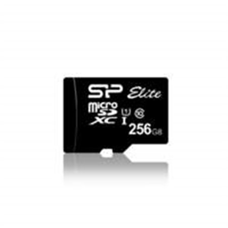 SP256GBSTXBU1V10SP