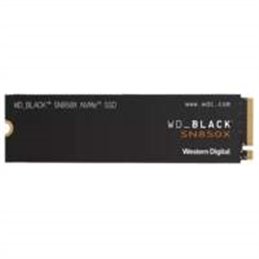 WDS100T2X0E