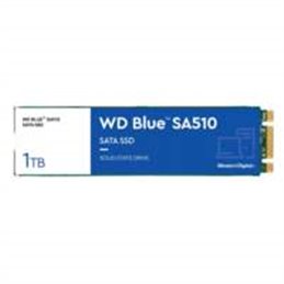 WDS100T3B0B