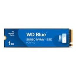 WDS100T3B0E