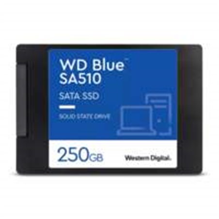 WDS250G3B0A