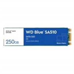 WDS250G3B0B