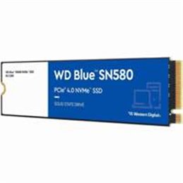 WDS250G3B0E
