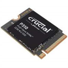 CT1000P310SSD2