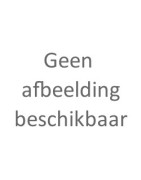 Netwerk
