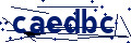 Beveiligingscode