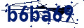 Beveiligingscode
